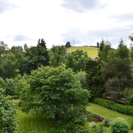 Horsky Apartman Pod Zelenou Strechou Bartosovice v Orlickych Horach Luaran gambar