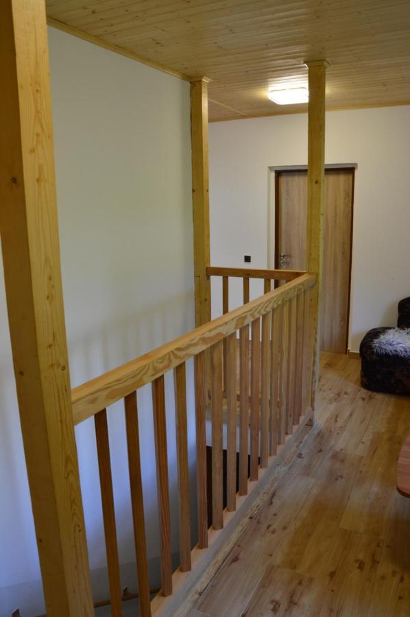 Horsky Apartman Pod Zelenou Strechou Bartosovice v Orlickych Horach Luaran gambar