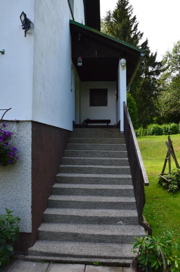 Horsky Apartman Pod Zelenou Strechou Bartosovice v Orlickych Horach Luaran gambar
