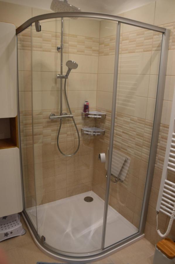 Horsky Apartman Pod Zelenou Strechou Bartosovice v Orlickych Horach Luaran gambar