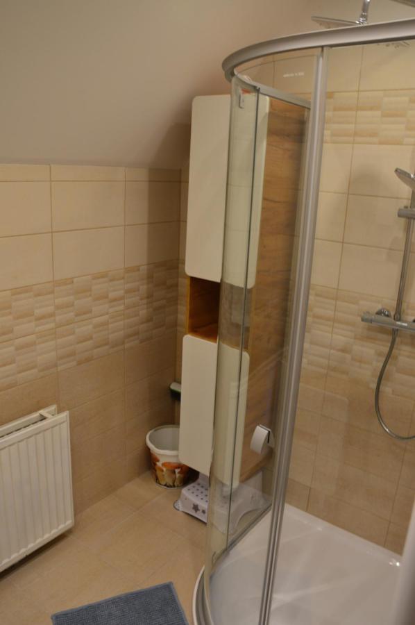 Horsky Apartman Pod Zelenou Strechou Bartosovice v Orlickych Horach Luaran gambar